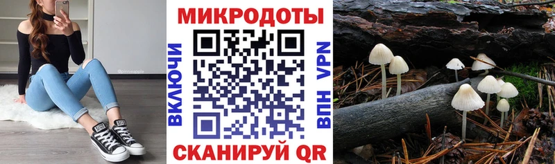 Псилоцибиновые грибы MAGIC MUSHROOMS  гидра tor  Киржач 